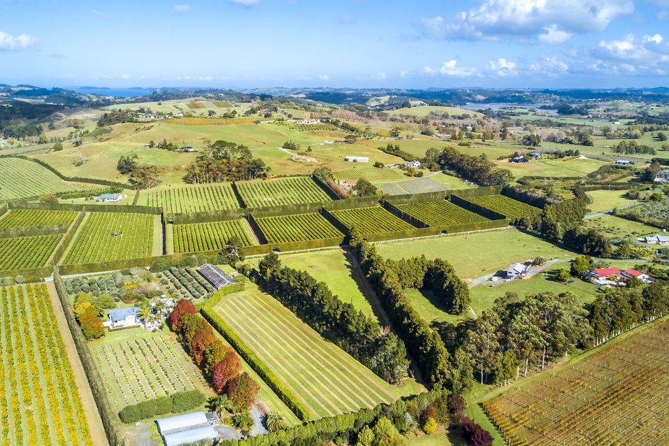 assessing farm prices in nz
