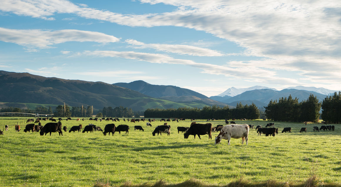 Is a dairy farm commercially sustainable?