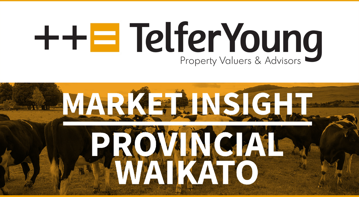 Provincial Waikato Market Insights
