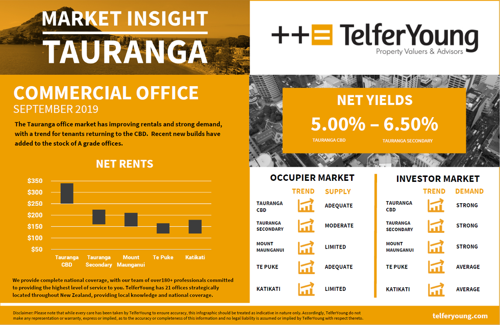 Tauranga Market Insights